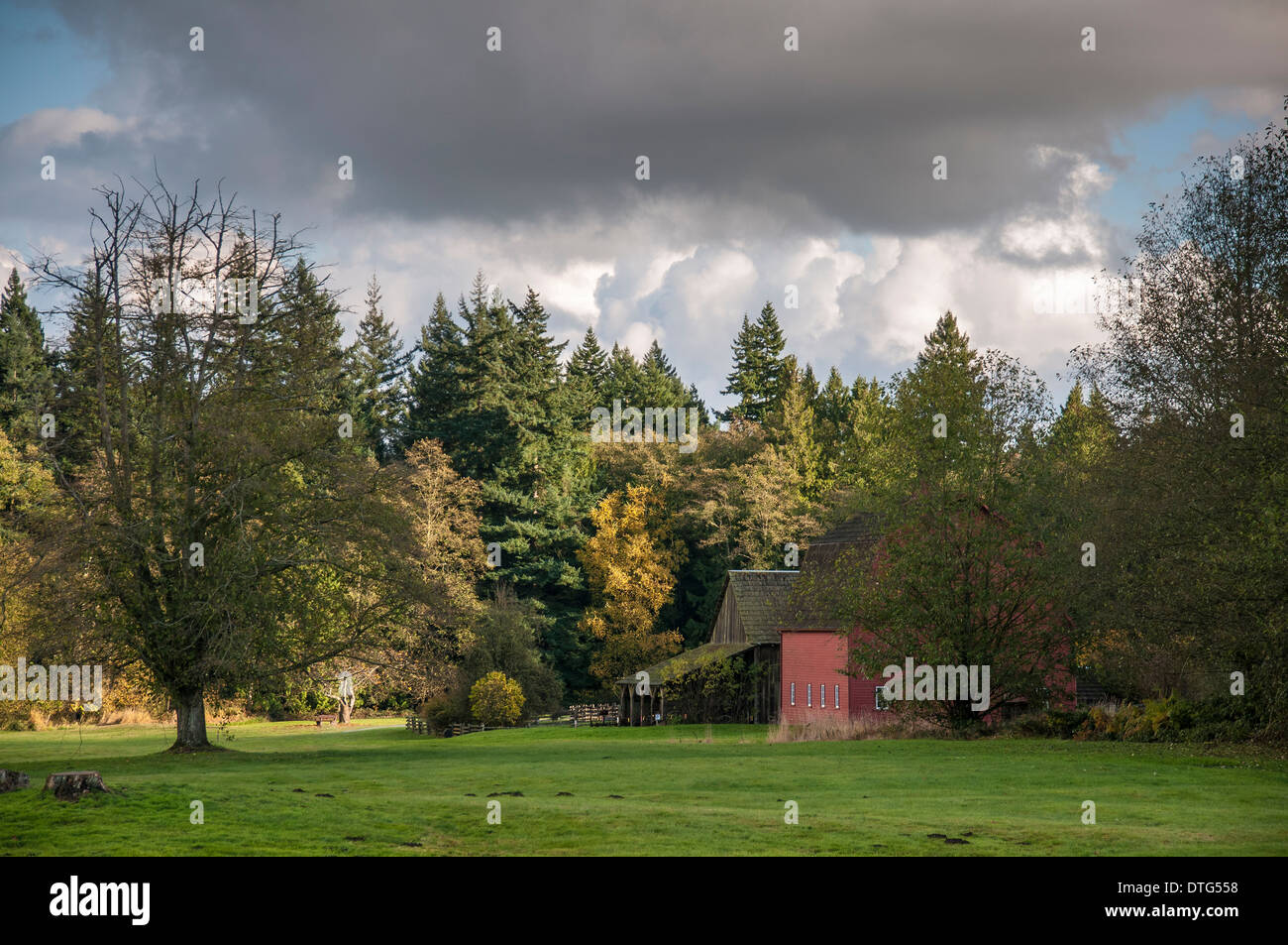 Colore di autunno in BC, Canada. Foto Stock