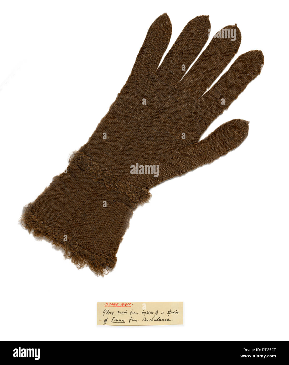 Guanto lavorato a maglia a partire da "barba" filettature del guscio della penna (Pinna nobilis) Foto Stock