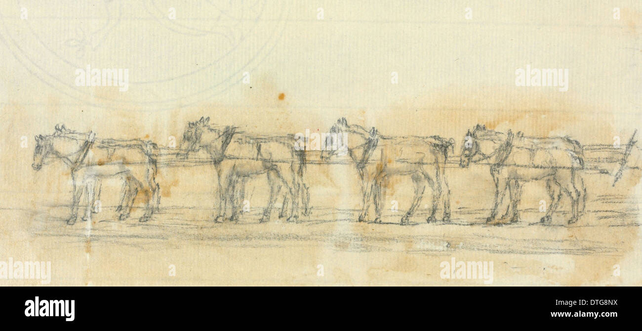 I cavalli utilizzati per il trasporto di uno squalo elefante da Brighton a Londra. Foto Stock