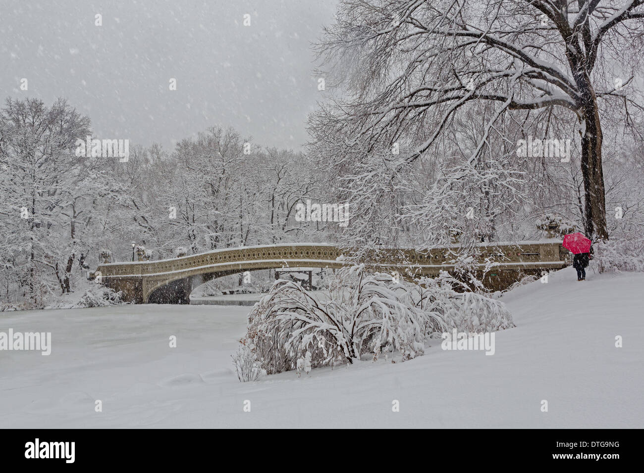 L'iconico punto di riferimento del ponte di prua in Central Park diventa una meraviglia invernale terra durante una tempesta di neve in inverno. Central Park si trova a New York City. La ghisa ponte di prua è il più grande ponte di Central Park e fu completato nel 1862. Foto Stock