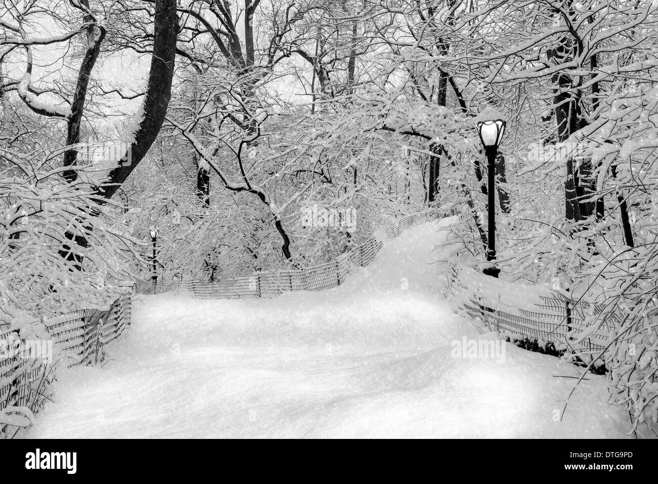 Il Central Park di New York City è vestito di bianco durante un inverno tempesta di neve. Foto Stock