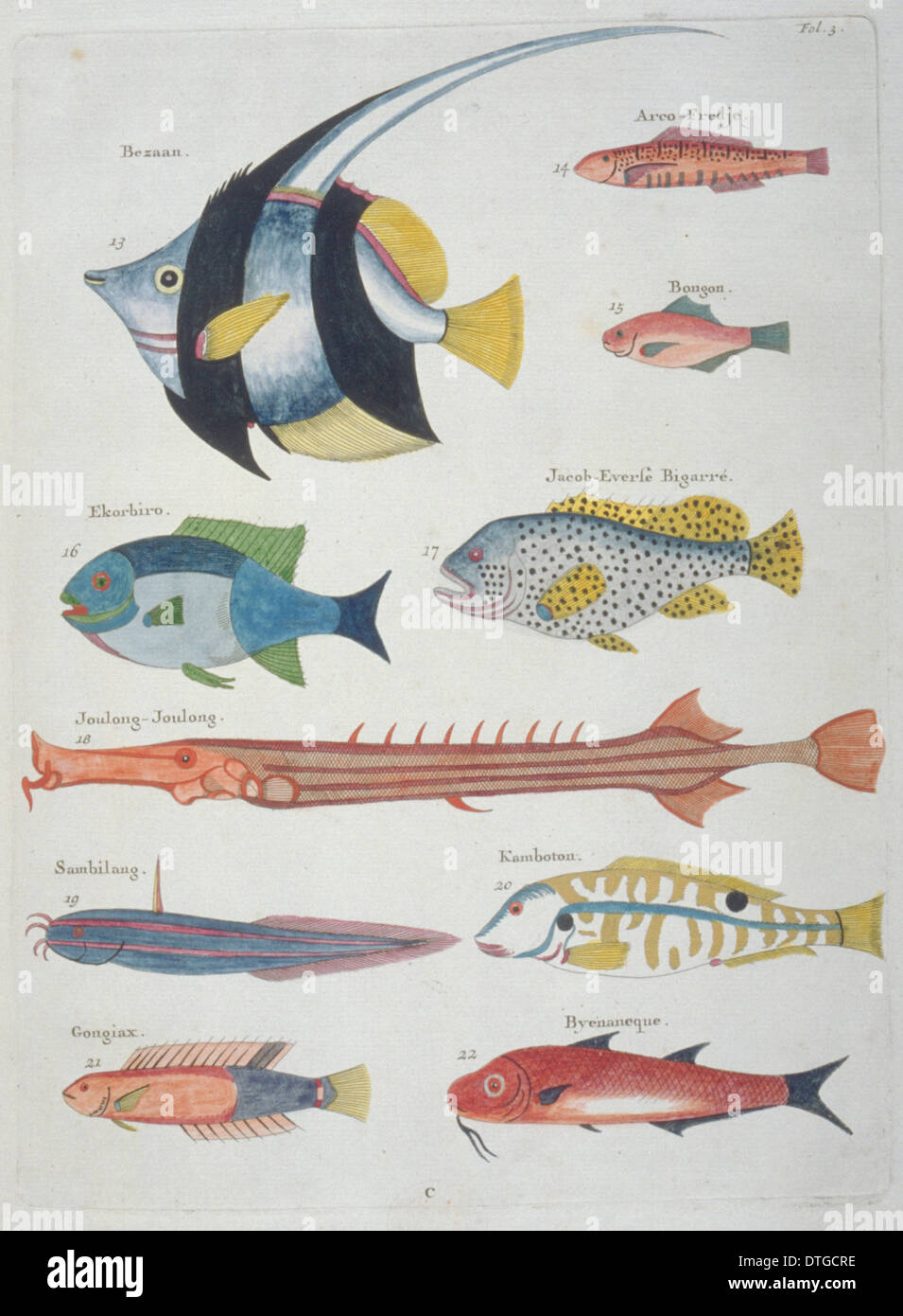 Illustrazione colorata di dieci pesci Foto Stock