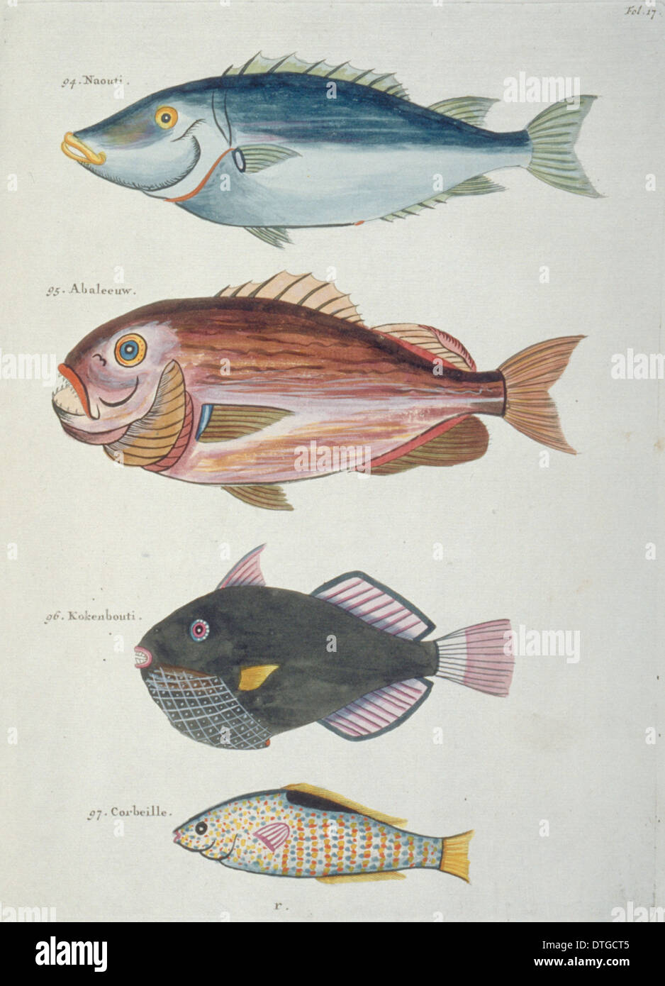 Illustrazione colorata di quattro pesci Foto Stock