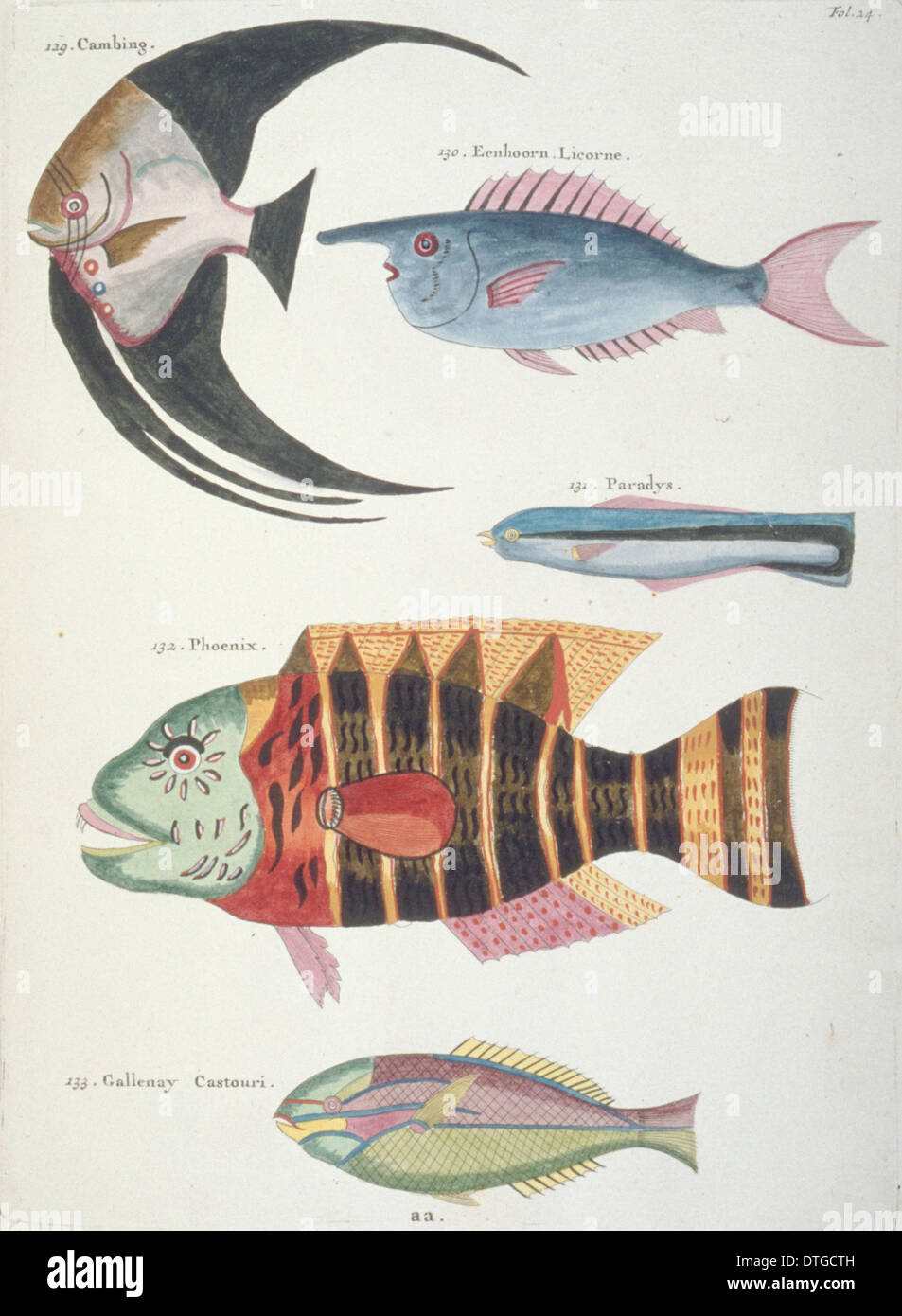 Illustrazione colorata di cinque pesci Foto Stock