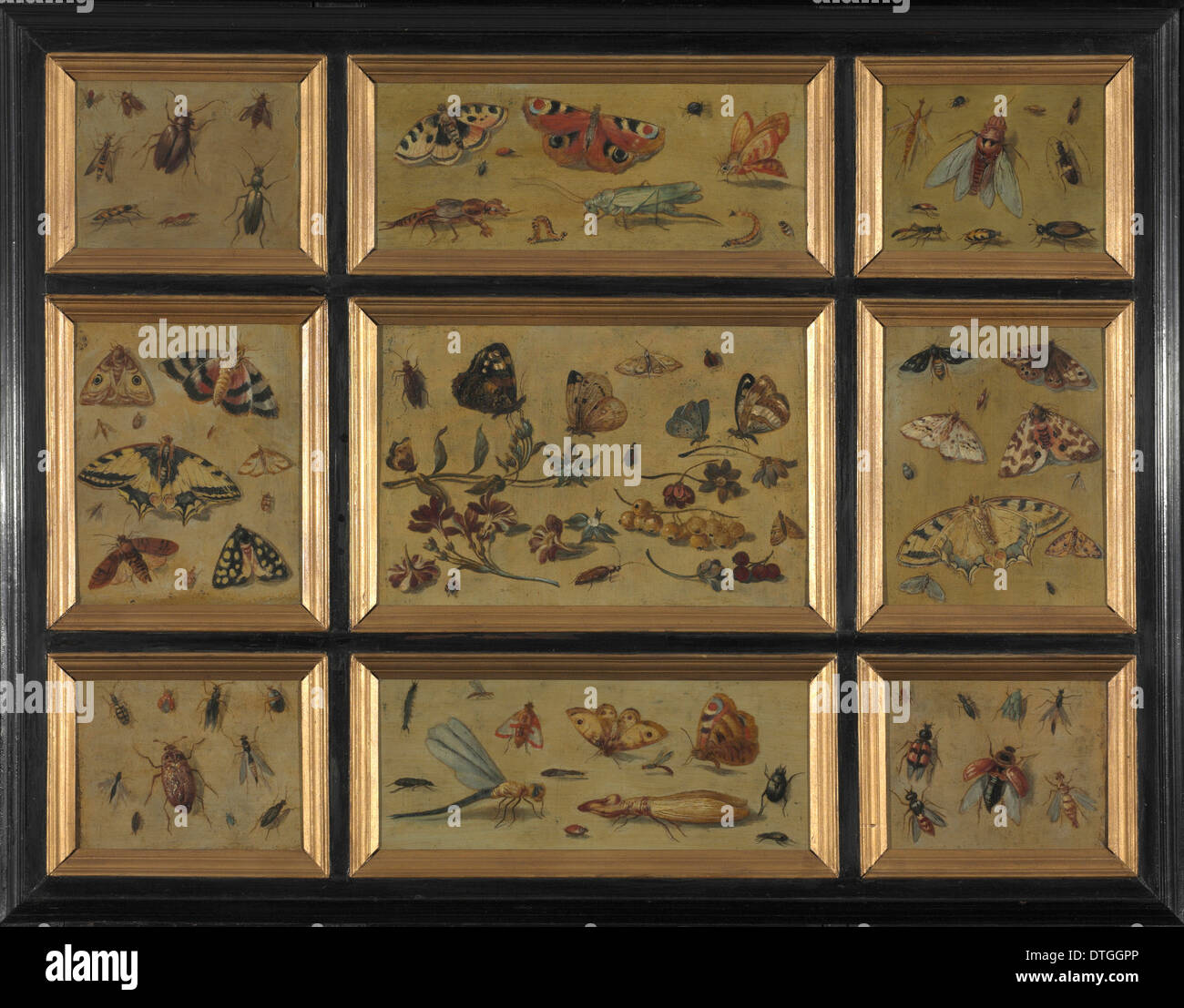 Farfalle - attrib. a Jan van Kessel Foto Stock