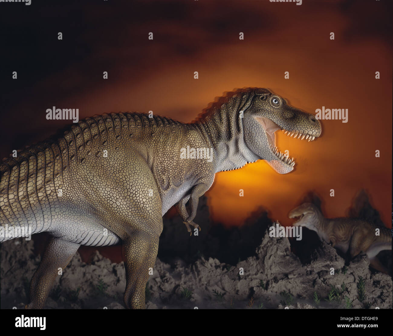 Tyrannosaurus rex Foto Stock