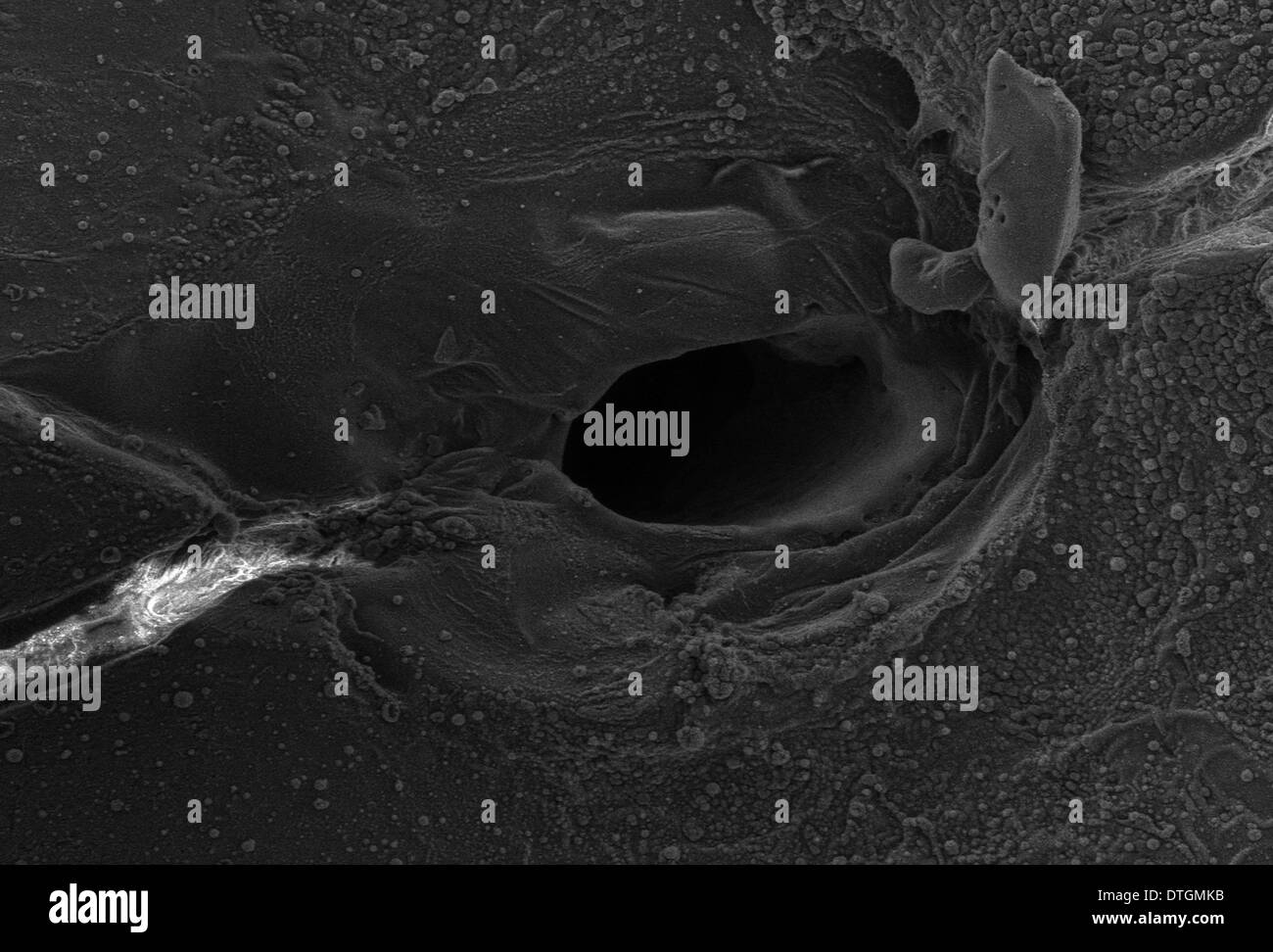 Vetro vulcanico, capelli di Pele Foto Stock