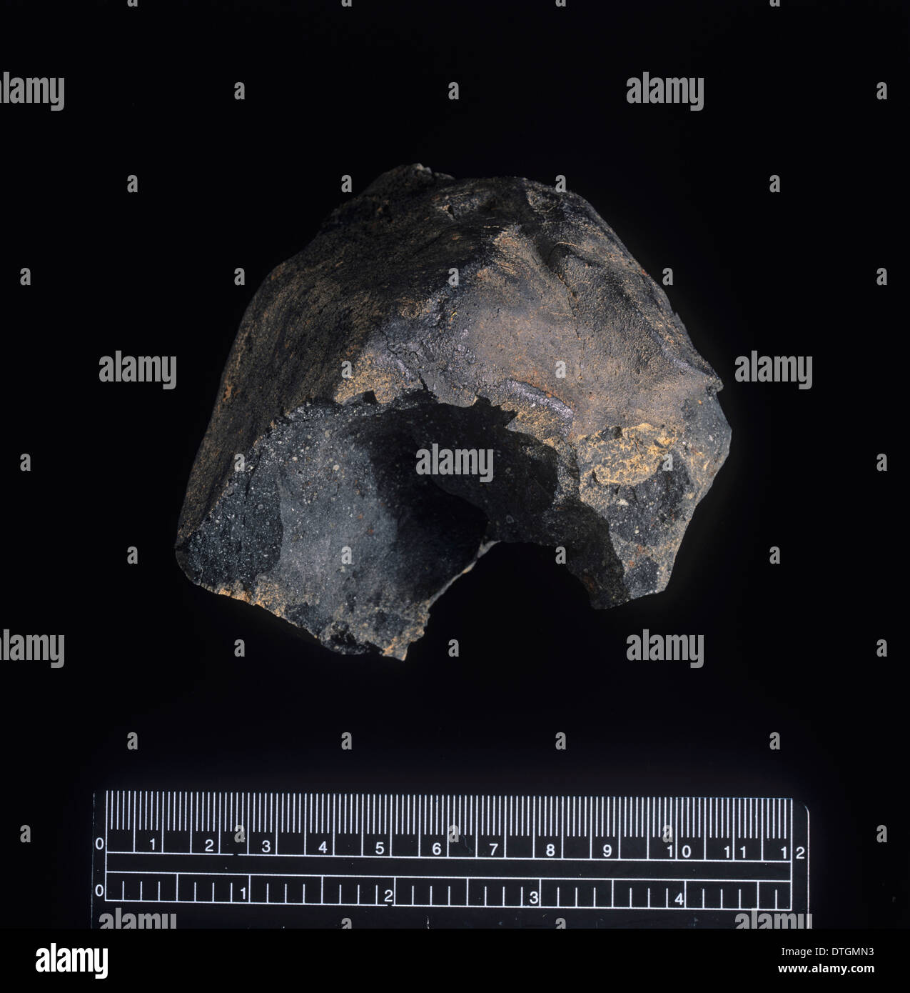 Il Murchison CM2 chondrite carboniosi Foto Stock