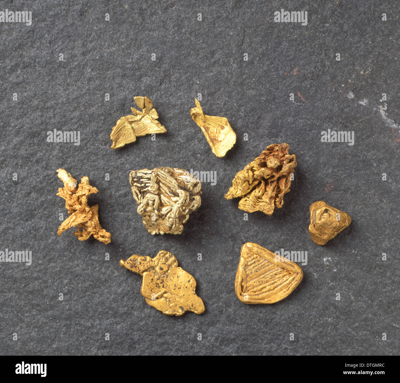Oro alluvionale immagini e fotografie stock ad alta risoluzione - Alamy