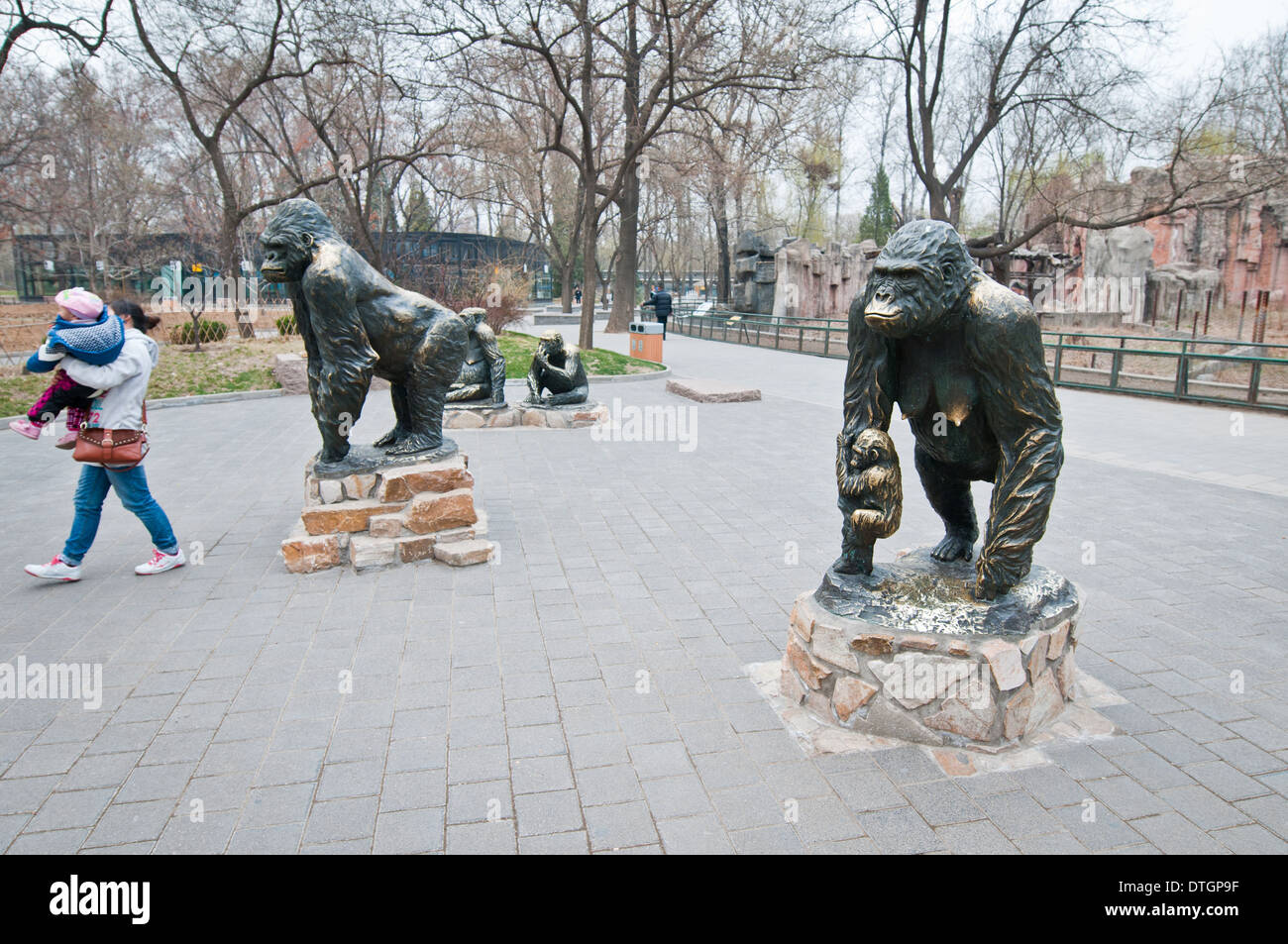 Statue di gorilla in allo Zoo di Pechino, Xicheng District, Pechino, Cina Foto Stock