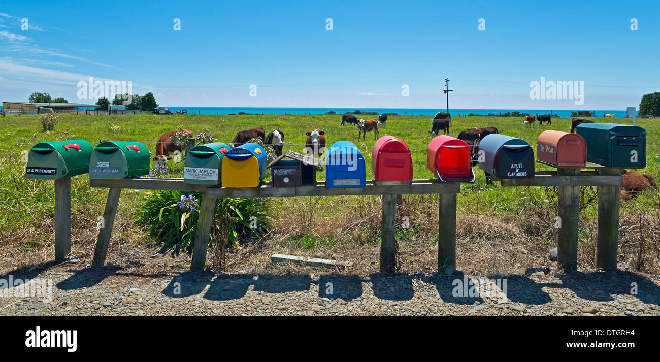 Diverse caselle postali a una mucca pascolo, East Cape, Gisborne Regione, Isola del nord, Nuova Zelanda Foto Stock