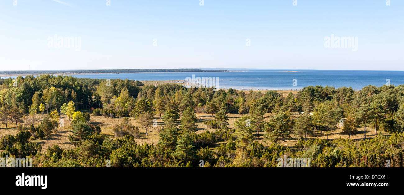 Panorama del paesaggio di campagna con molti alberi e mare in background Foto Stock