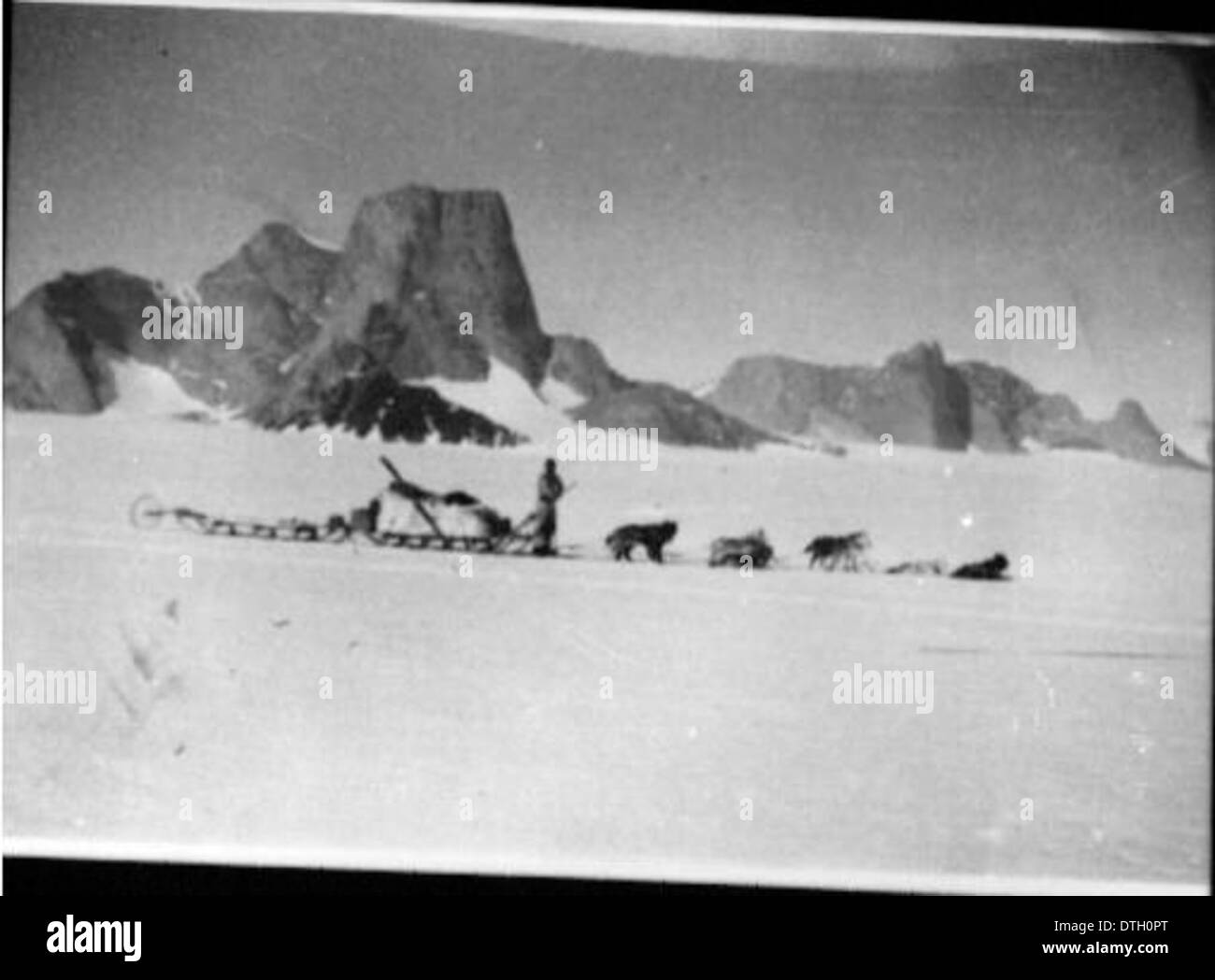 Questa fotografia mostra un uomo con cani e una slitta trainata da cani, mettendo in evidenza la pratica storica di fare slitta trainata da cani in condizioni di neve. L'immagine cattura la slitta come una modalità di trasporto vitale nei climi freddi. Foto Stock