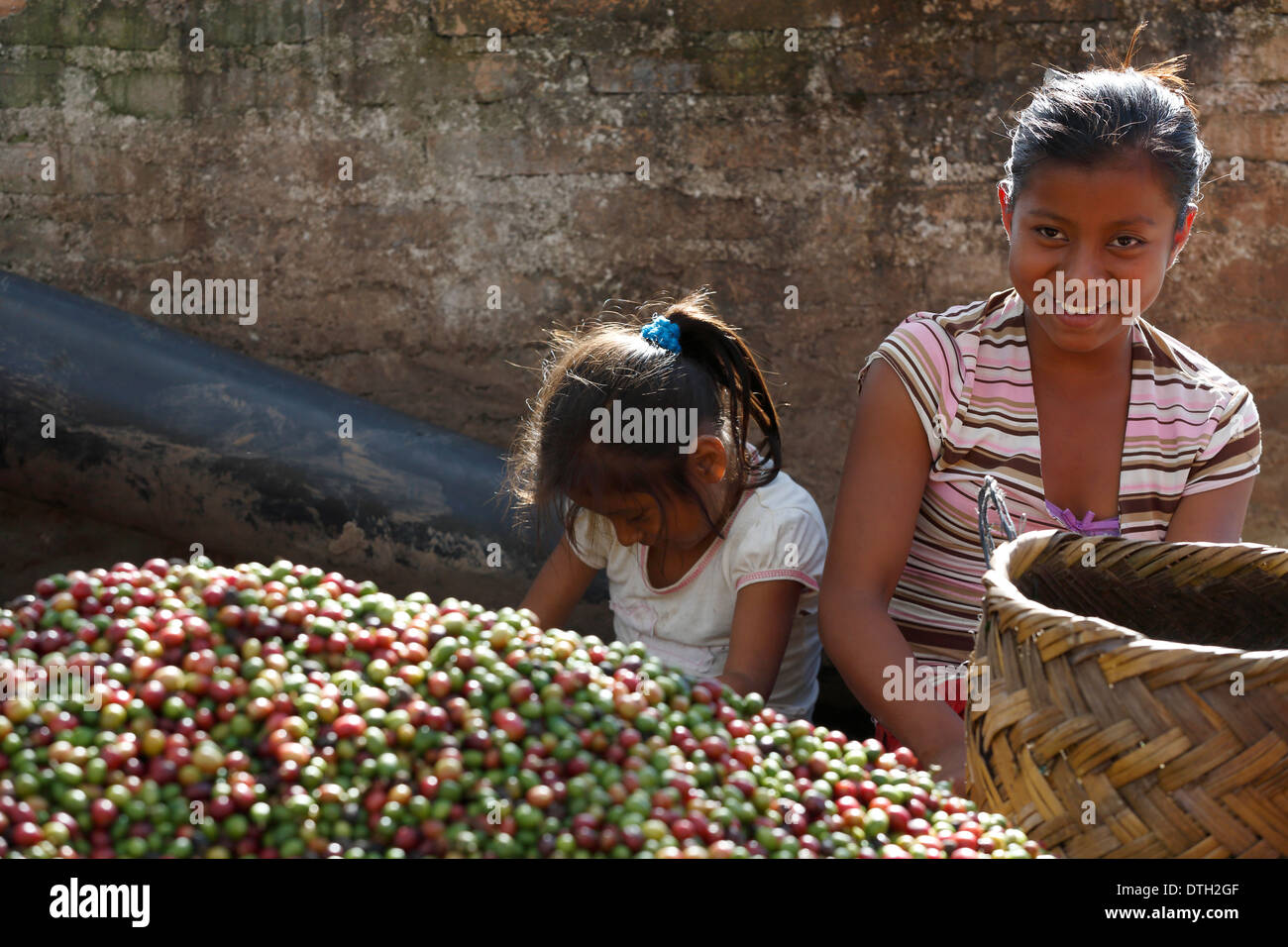 Giovane donna e bambina ordinamento appena raccolto bacche di caffè, Northwest Nicaragua Foto Stock