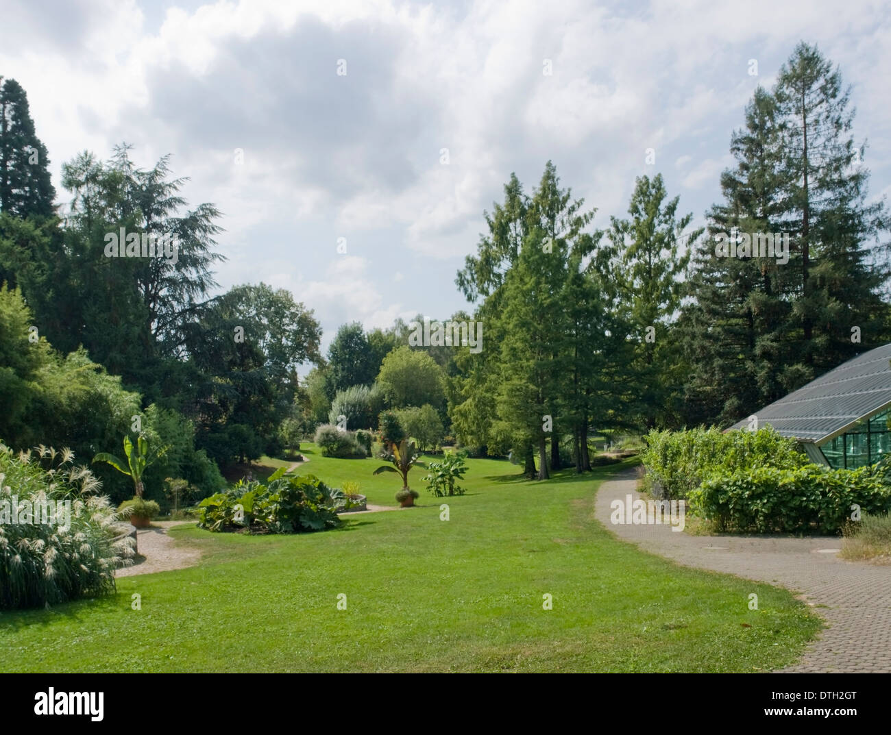 Un soleggiato parco con varie piante e fiori in estate nella Germania meridionale Foto Stock