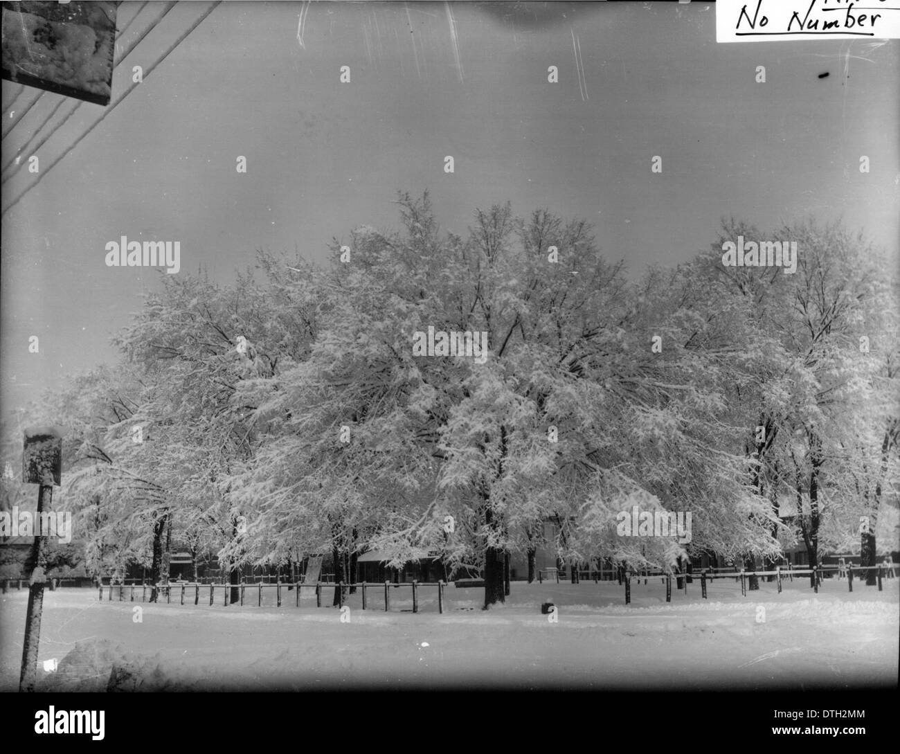 Questa fotografia invernale di un parco su High Street cattura la bellezza serena della stagione. La scena presenta alberi e strade innevate a Oxford, Ohio, che mostrano la tranquillità della zona durante i mesi invernali. La fotografia fa parte della Snyder Collection negli archivi digitali delle Miami University Libraries, che mette in risalto il paesaggio storico dell'area universitaria. Foto Stock