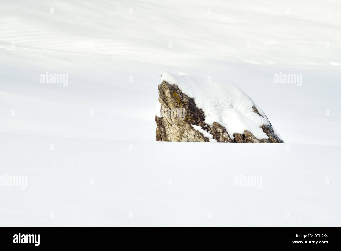 Rock in campo neve Foto Stock