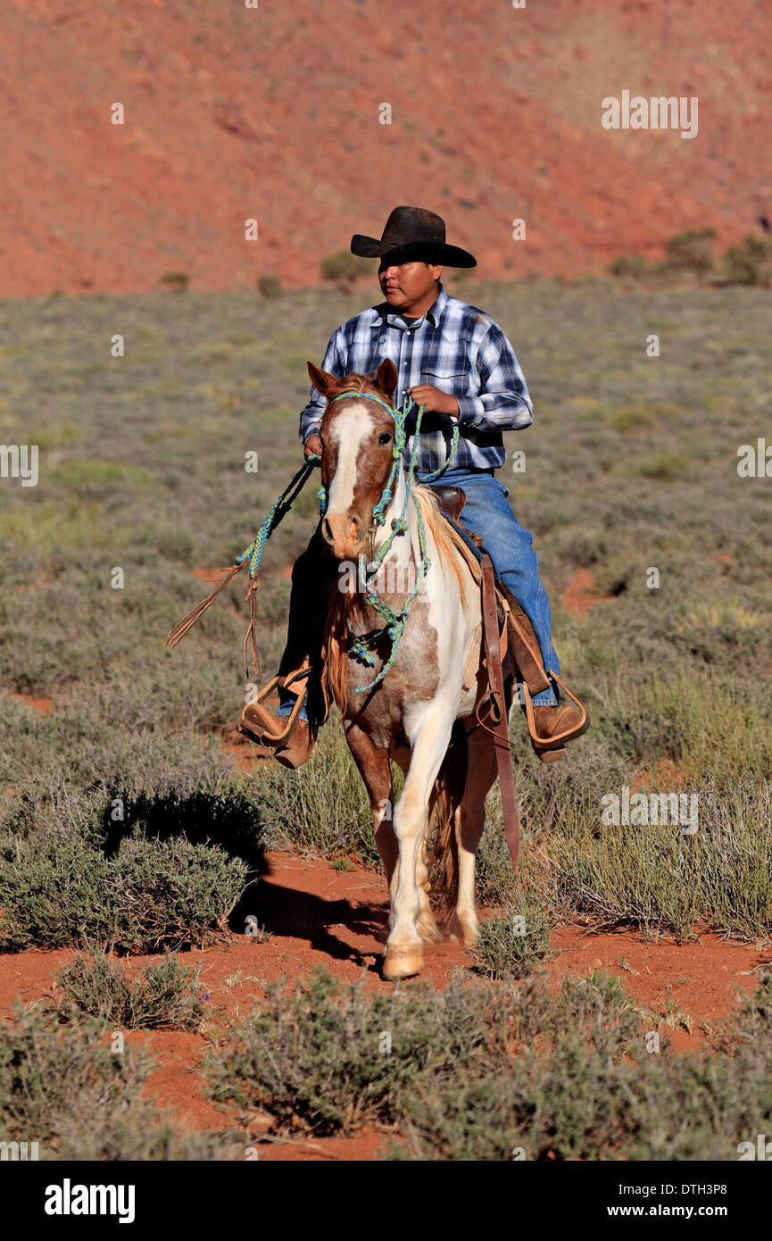 Navajo Cowboy, Mustang, nativi americani, Monument Valley, Utah, Stati Uniti d'America Foto Stock