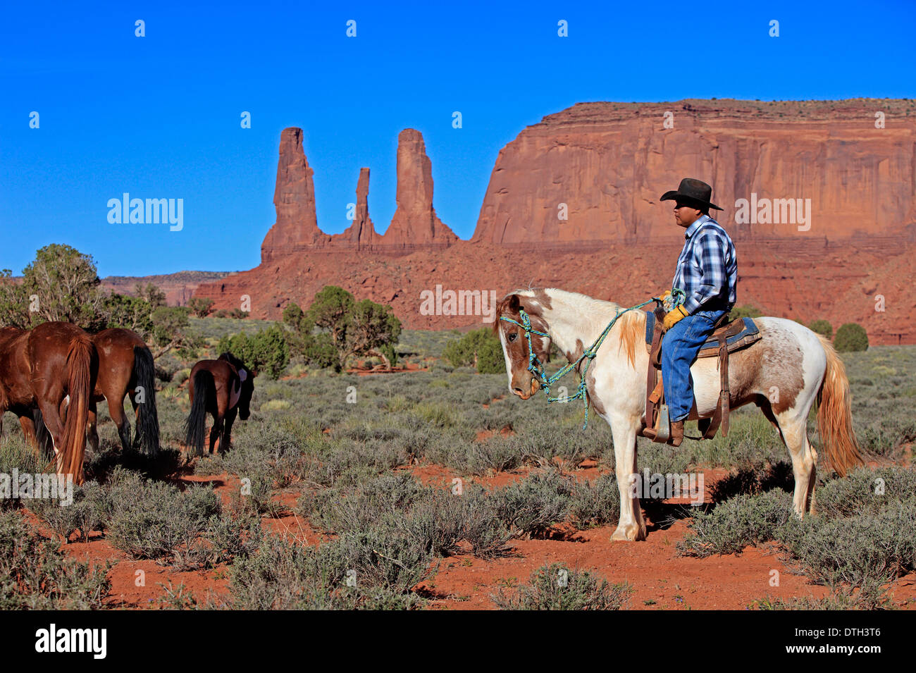 Navajo Cowboy, Mustang, nativi americani, Monument Valley, Utah, Stati Uniti d'America Foto Stock