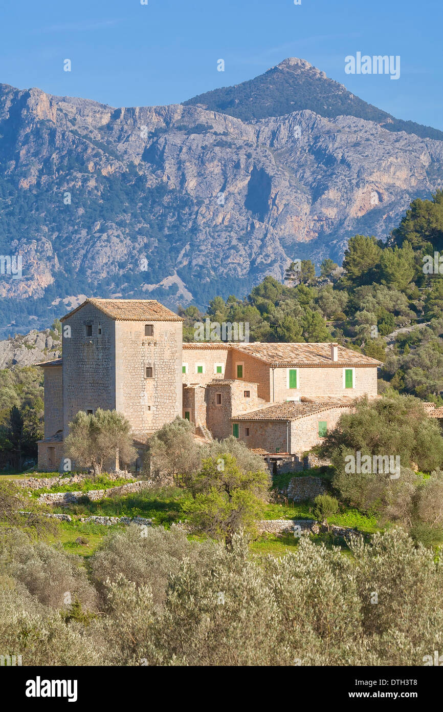 Muleta country estate, Sóller area. Puig de l'Re montagna dietro, Tramuntana colline. Maiorca, isole Baleari, Spagna Foto Stock