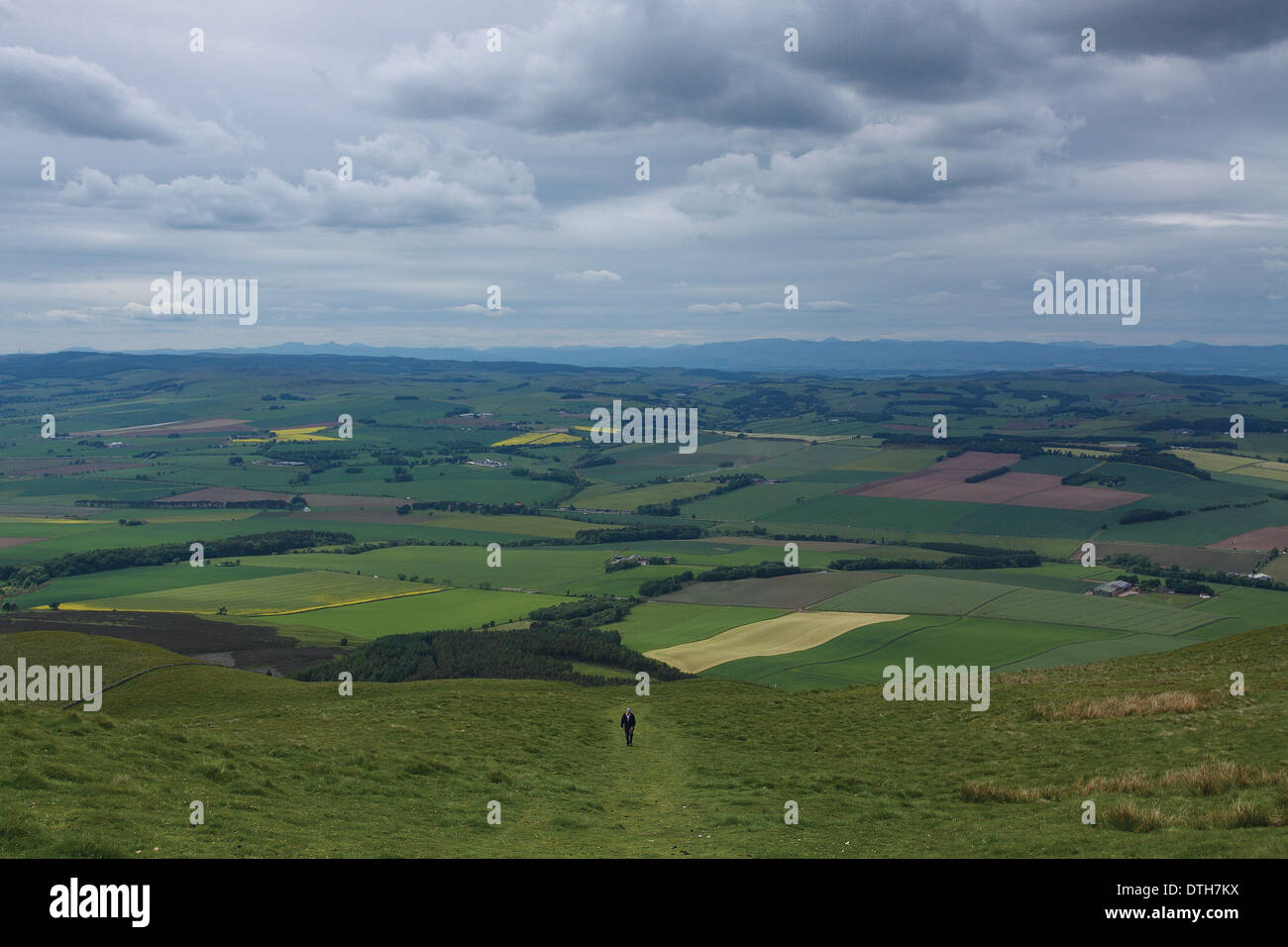 Una crescente walker West Lomond sopra, Falkland Fife Foto Stock