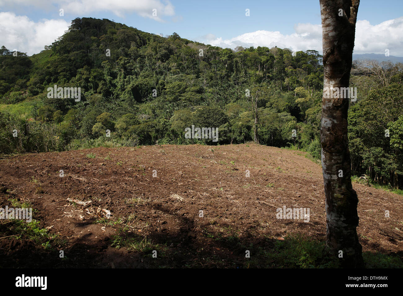 Terreni agricoli clearing, San Ramon, in Nicaragua Foto Stock