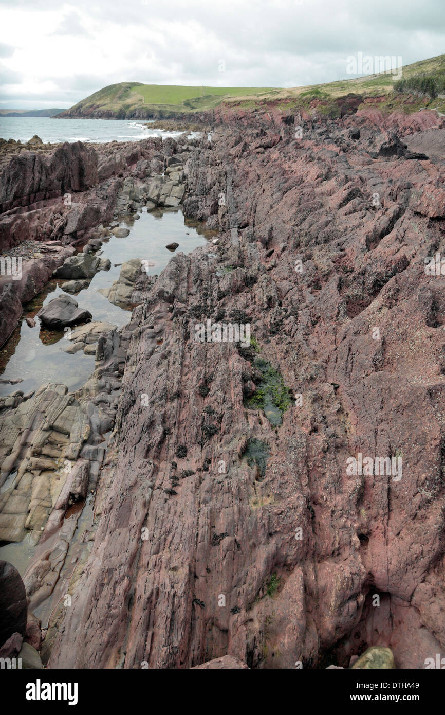 Esposti verticale formazioni di roccia su Manorbier Beach, Pembrokeshire, Galles. Foto Stock