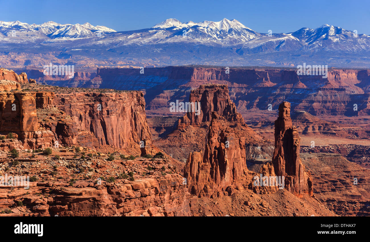 Il Parco Nazionale di Canyonlands con il Lasal montagne sullo sfondo, Utah - USA Foto Stock