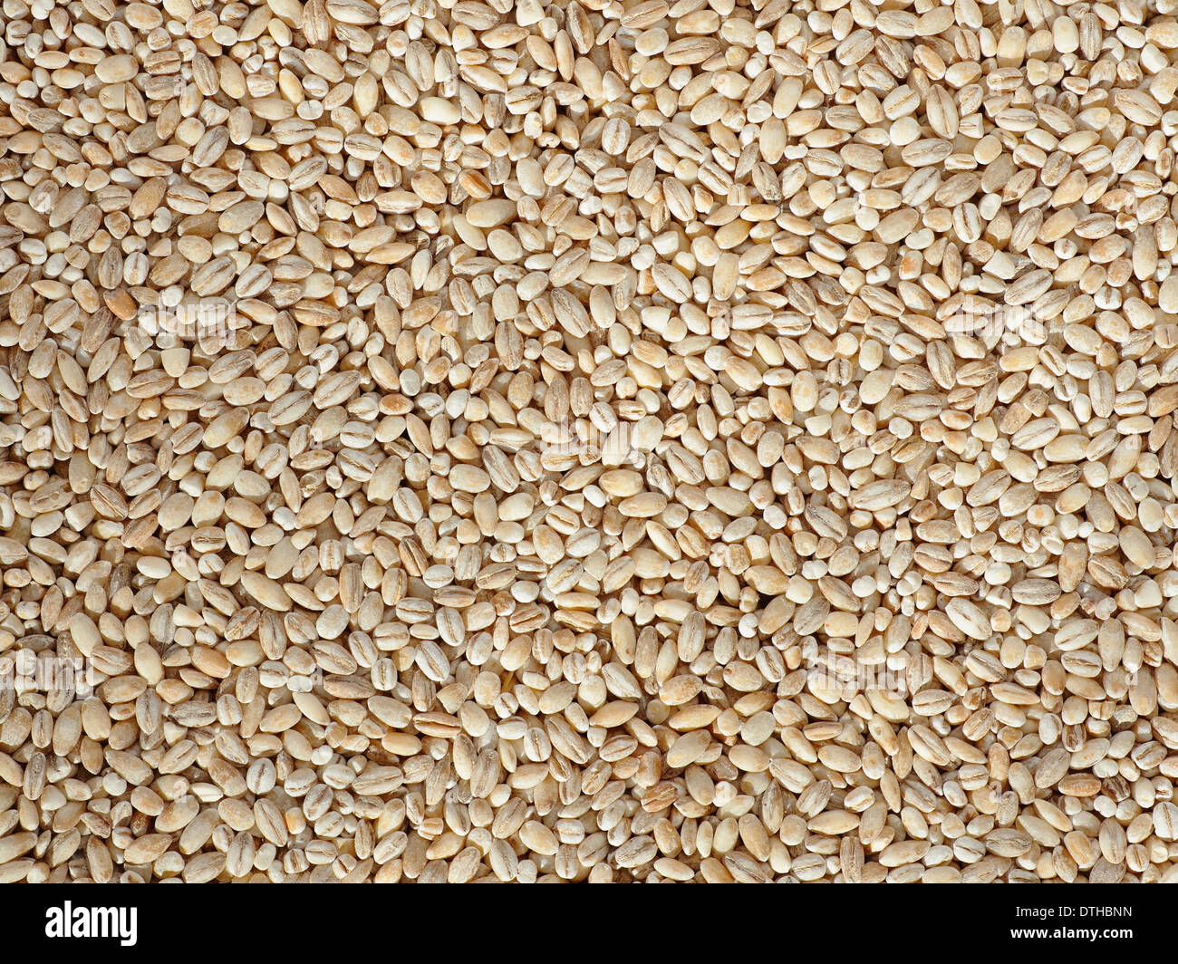 Essiccato orzo perlato closeup piatto sfondo alimentare Foto Stock