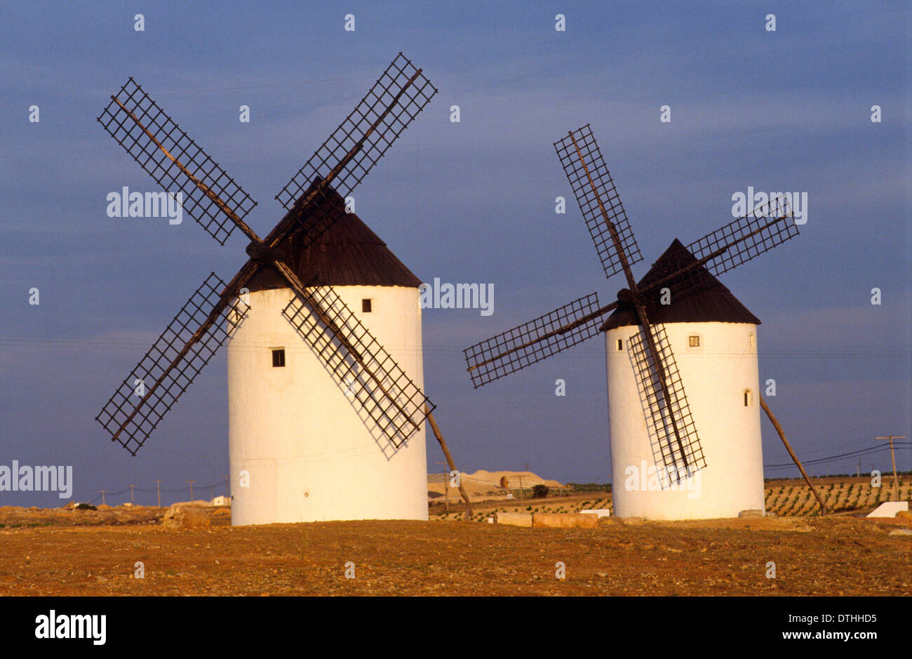 Mulini a vento, Campo de Criptana, provincia di Toledo, Castiglia - La Mancha.Spagna Foto Stock