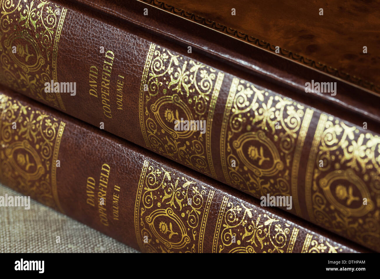 Cuoio libri rilegati - David Copperfield di Charles Dickens - Volumi I e II Foto Stock