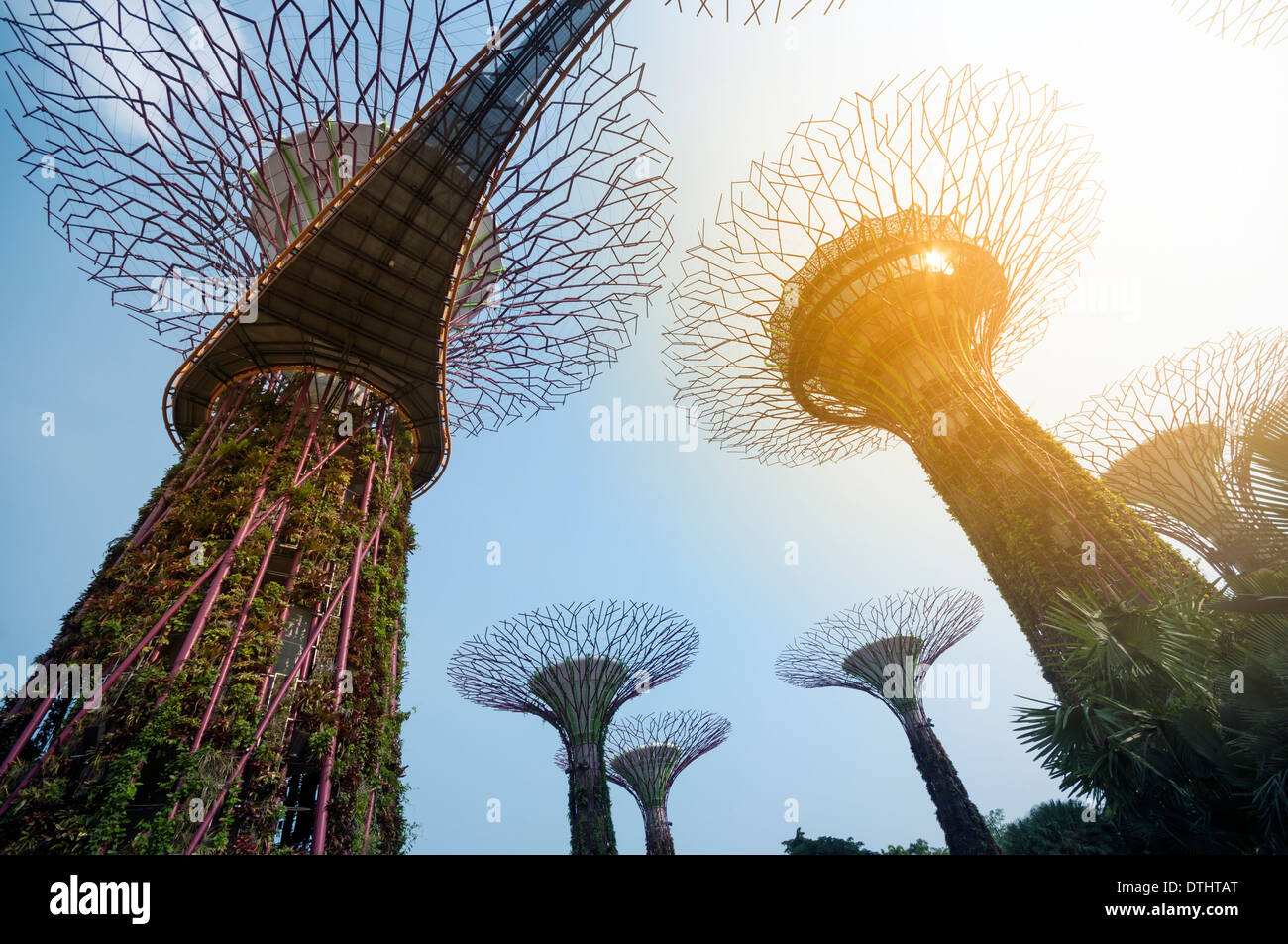 Supertree Grove in giardino dalla Baia di Singapore. Foto Stock