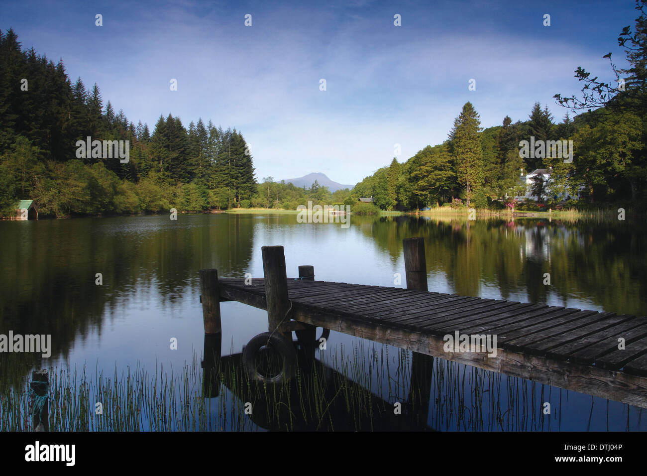 Ben Lomond da Loch Ard all'alba, vicino Aberfoyle, Loch Lomond e il Trossachs National Park Foto Stock