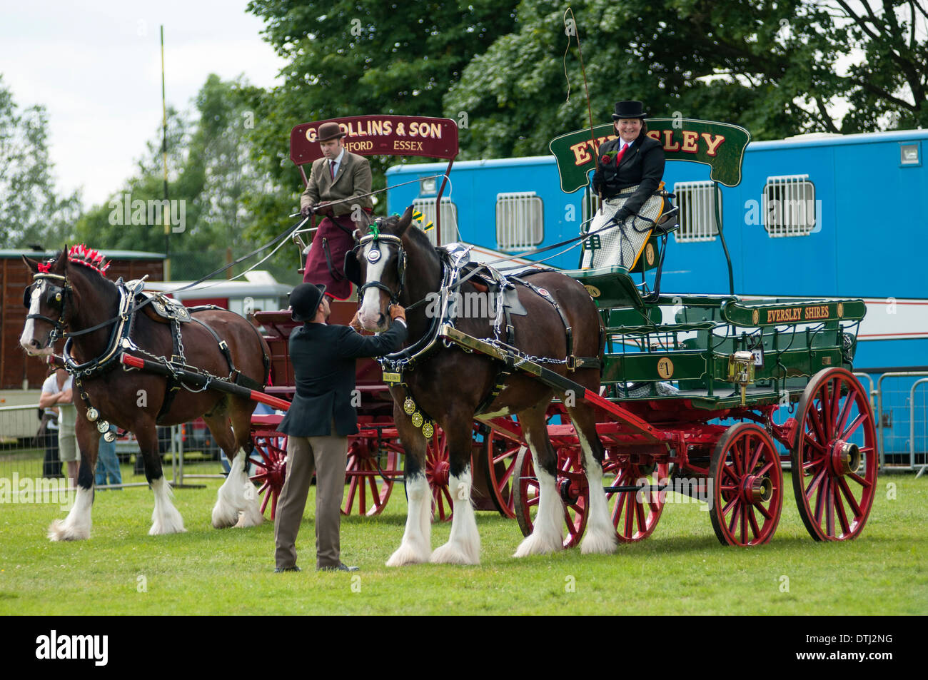 "Pesante" di cavalli sul visualizzatore in corrispondenza di un paese mostrano in Inghilterra 2012. Foto Stock