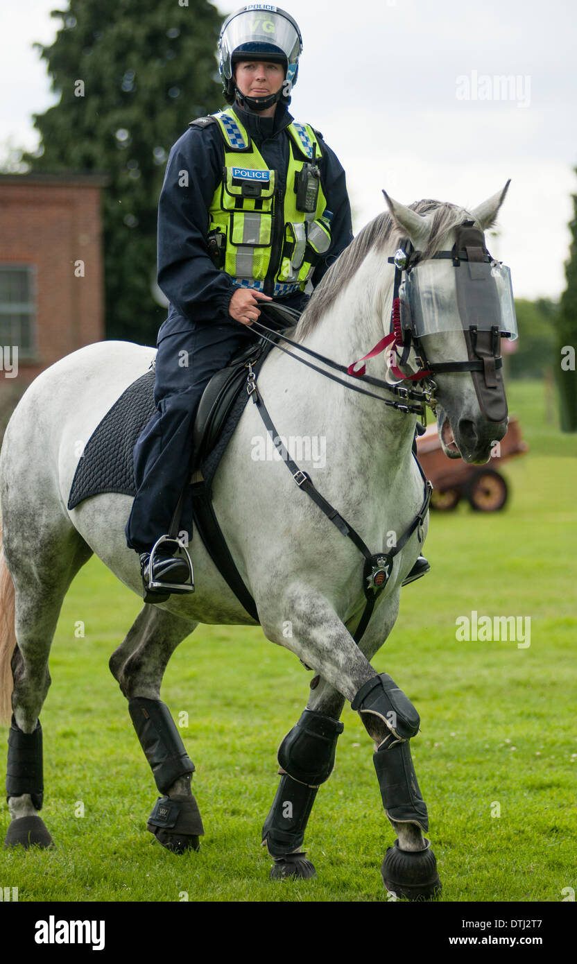 Immagine ritratto di un montato British poliziotta cavalcando attraverso un campo. Foto Stock