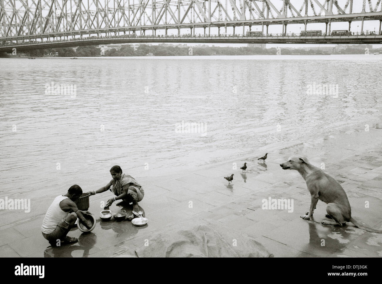 Le rive del Fiume Hooghly vicino a quella di Howrah Bridge in Kolkata Calcutta nel Bengala Occidentale in India in Asia del Sud. La famiglia del cane lavare il reportage di viaggio Foto Stock