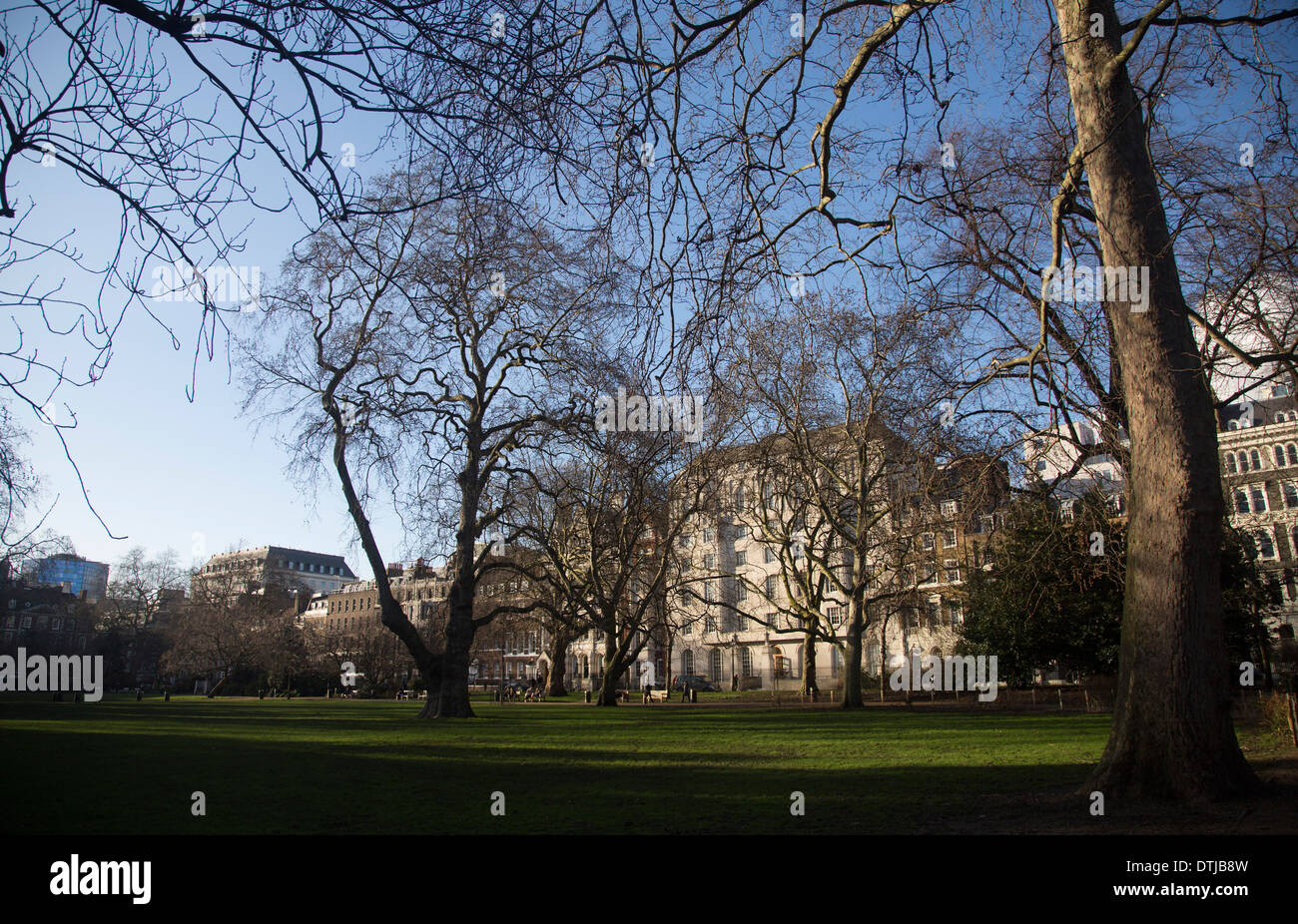 Lincoln' s Inn Fields Park lo spazio verde al centro di Londra Foto Stock