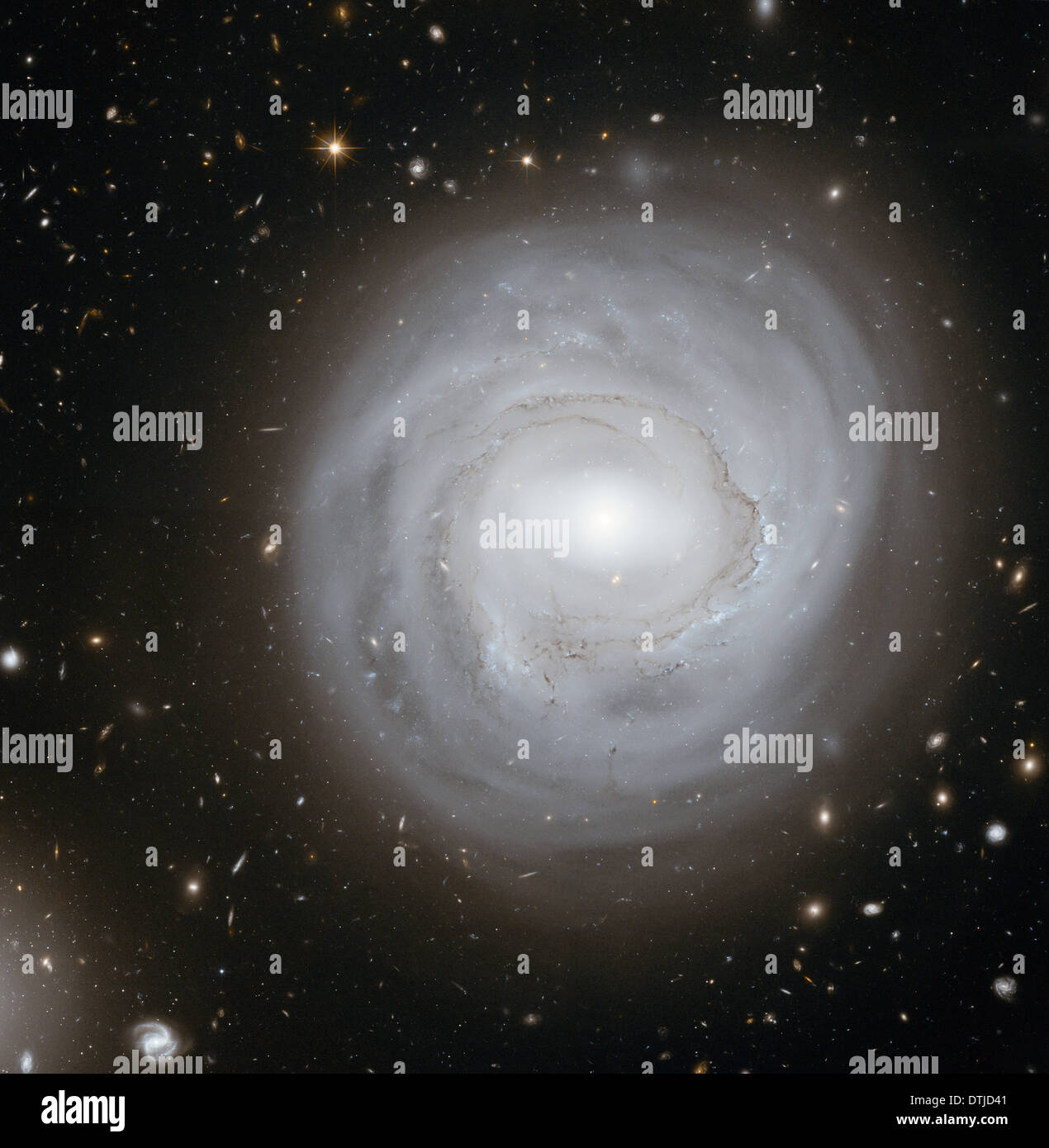 Questo telescopio spaziale Hubble vista mostra la galassia a spirale NGC 4921 lungo con uno spettacolare sfondo di più distanti galassie. Foto Stock