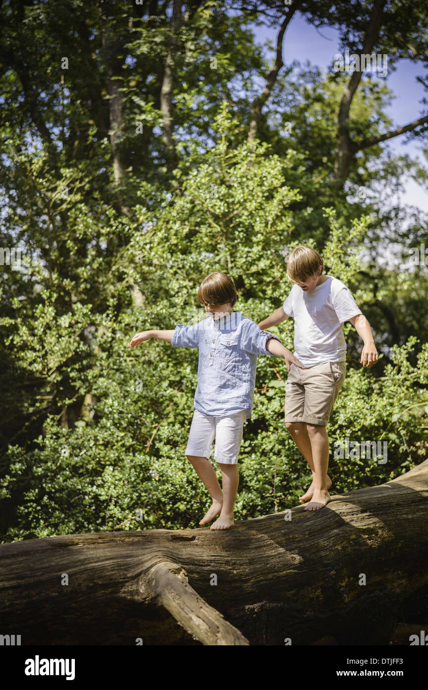 Due ragazzi nel campeggio la nuova foresta a piedi lungo un log sopra l'acqua il bilanciamento con le loro braccia tese Hampshire Inghilterra Foto Stock