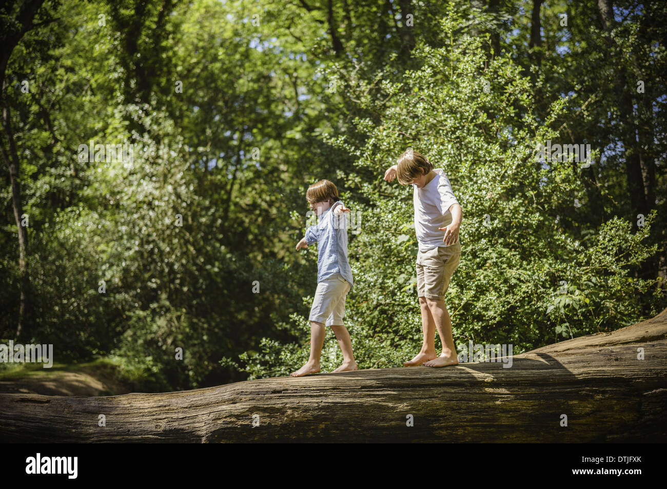 Due ragazzi nel campeggio la nuova foresta a piedi lungo un log sopra l'acqua il bilanciamento con le loro braccia tese Hampshire Inghilterra Foto Stock