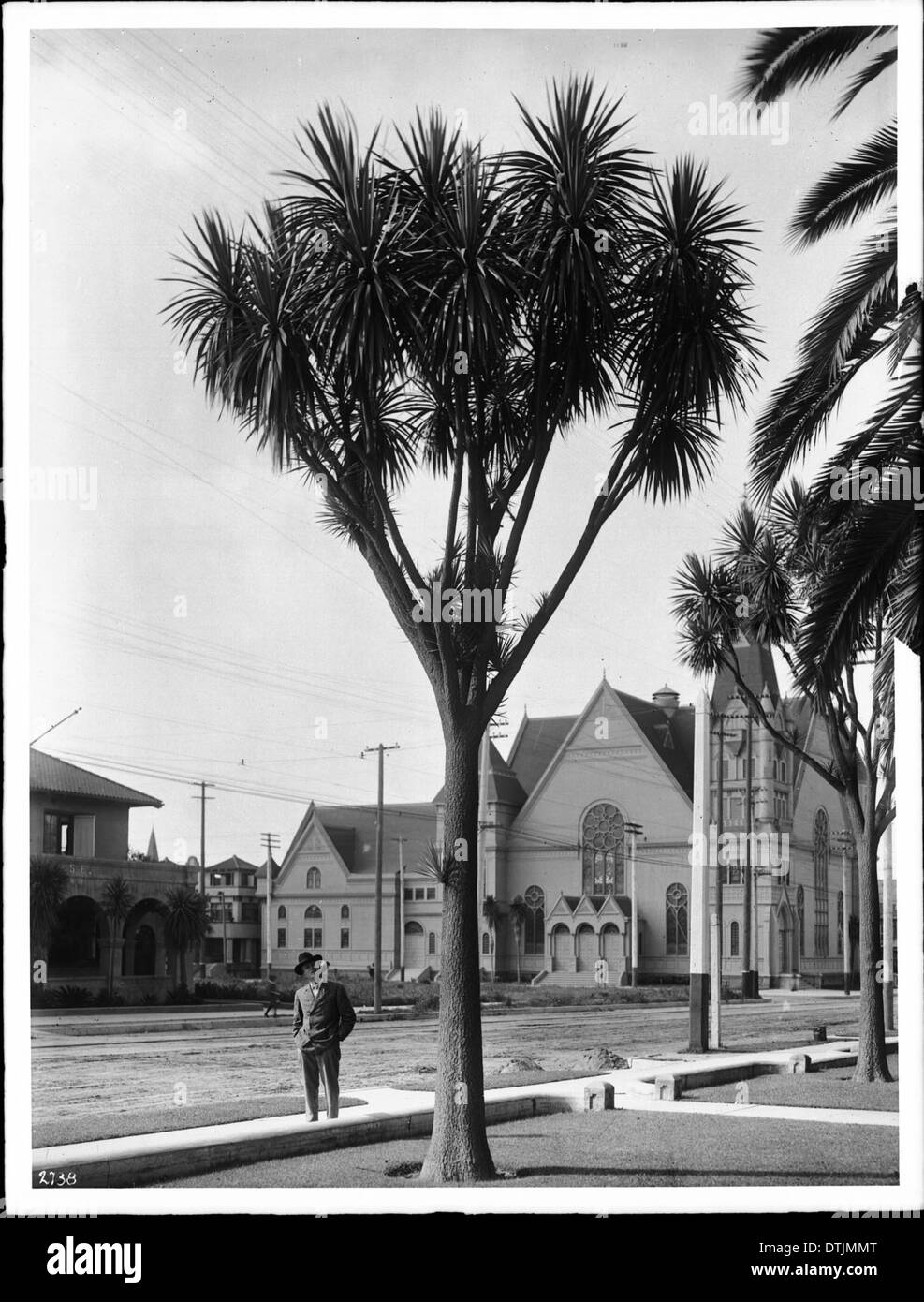 Una fotografia che mostra le palme vicino alla chiesa presbiteriana di Emanuel in Figueroa Street a Los Angeles, scattata tra il 1900 e il 1905, catturando la scena della strada e gli alberi. Foto Stock