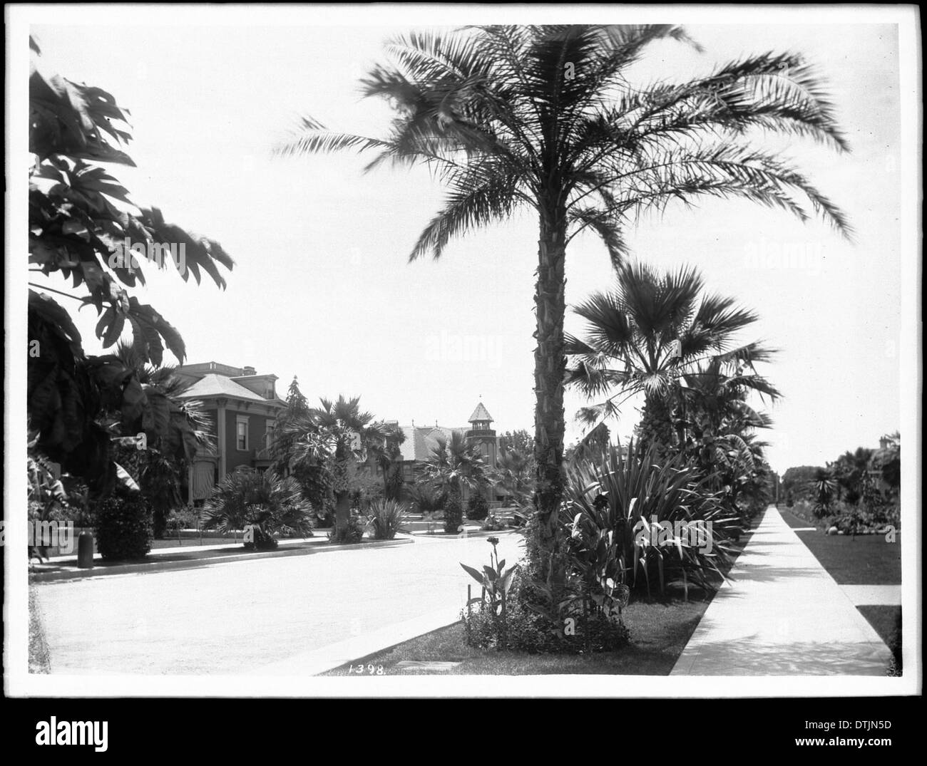 Una fotografia che mostra palme e grandi case a Chester Place a Los Angeles nel 1905, catturando l'esclusiva area residenziale e il suo stile architettonico durante l'inizio del XX secolo. Foto Stock
