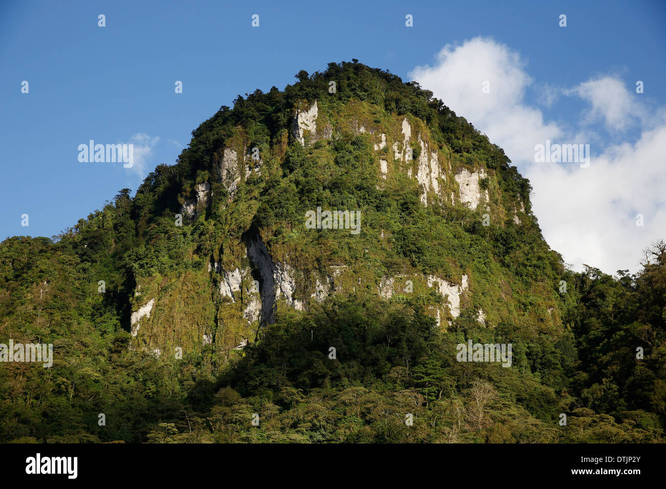 Penas Blancas Riserva, Nicaragua Foto Stock