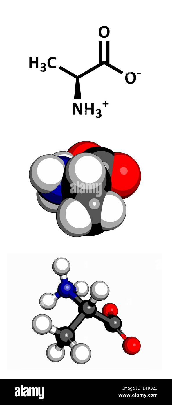 BPI Sport Best Amino Aminoacidi EAAs 250G Costruzione Muscolare (118,76 - Foto 4