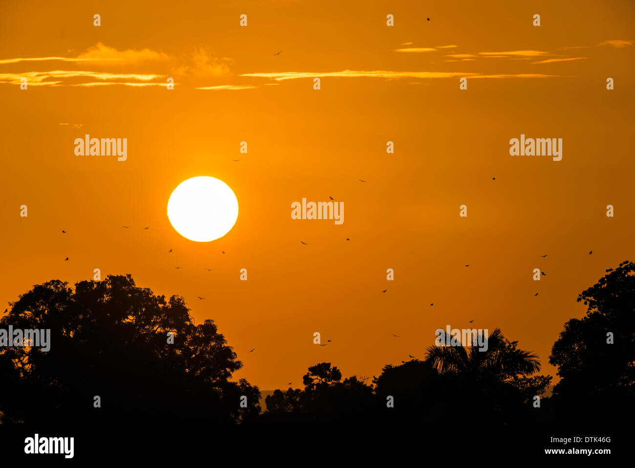 Arancione tramonto parco nazionale Manuel Antonio Costa Rica Foto Stock