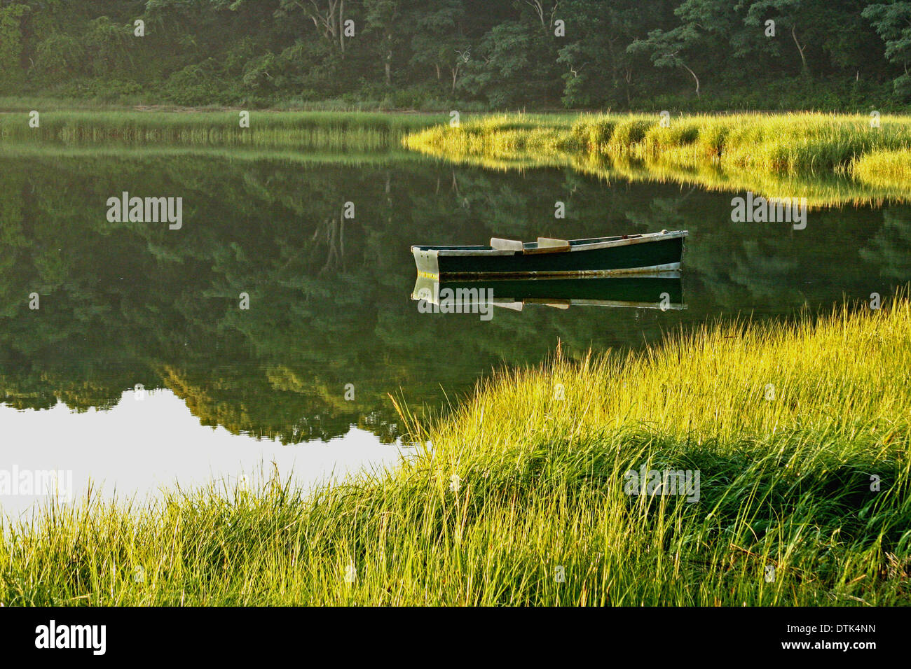 Una scena mattutina di una barca a remi vuota che si riflette in uno stagno a Cape Cod con il sole che splende sulle lunghe erbe verdi. Foto Stock