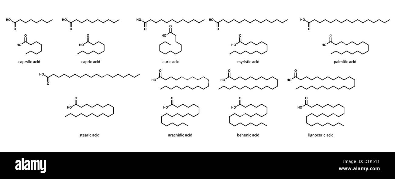 Gli acidi grassi saturi (set): caprylic, acido caprico, acido laurico, miristico, palmitico, stearico, arachidico, behenico e acido lignocerico Foto Stock