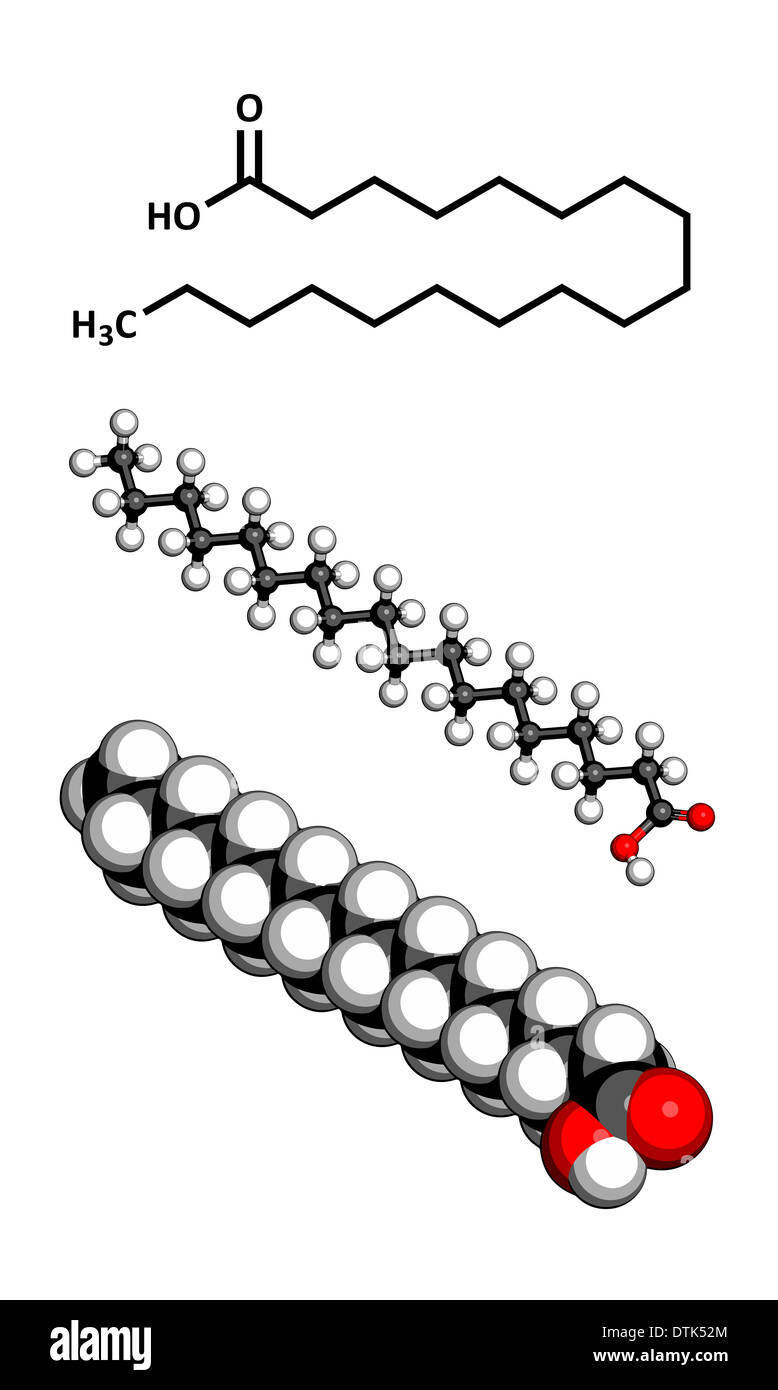 Acido stearico acido grasso saturo molecola. Tre rappresentazioni 2D: formula scheletrico, 3D ball-e-stick modello, etc Foto Stock
