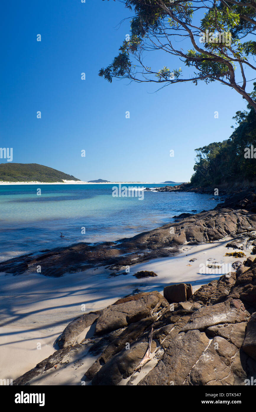 Fingal spiaggia o Fingal Bay Port Stephens New South Wales NSW Australia Foto Stock