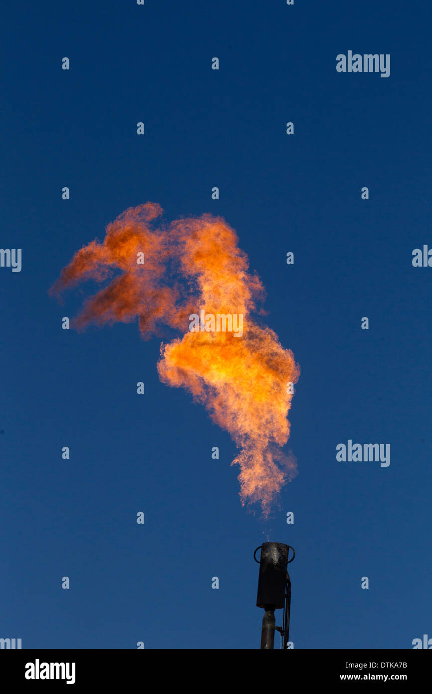 Il gas in eccesso viene bruciato in un pozzo di petrolio nelle zone rurali a Jim Wells County, Texas del sud vicino a Hebbronville. Foto Stock